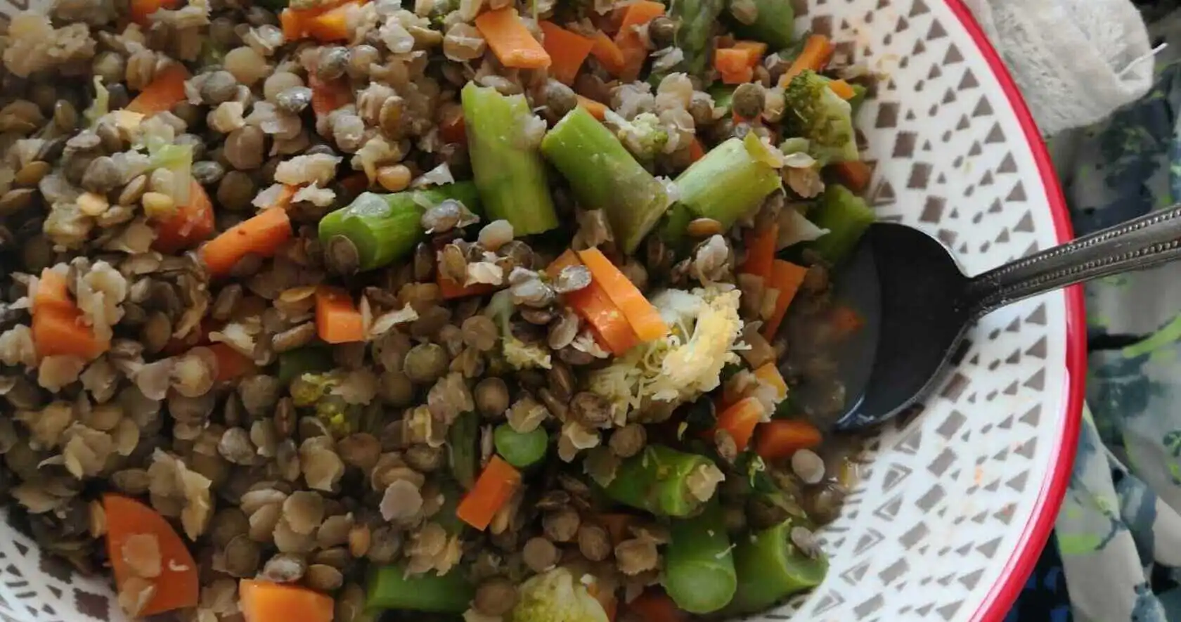 The bankrupt vegan – stay full and healthy on a REALLY tight budget