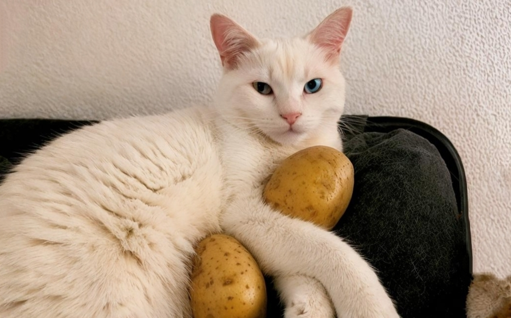 Potato cleanse: Reset your taste buds and kickstart your health